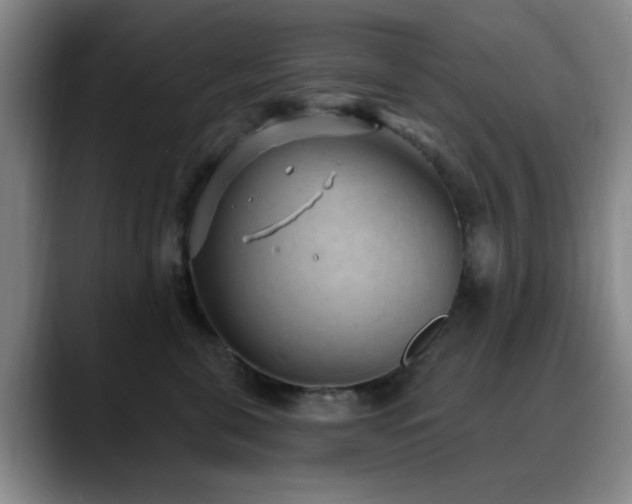 X0000090710571200707201217