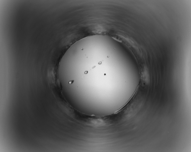 X0000090710572200707201217