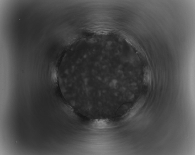 X0000090710573200707201217