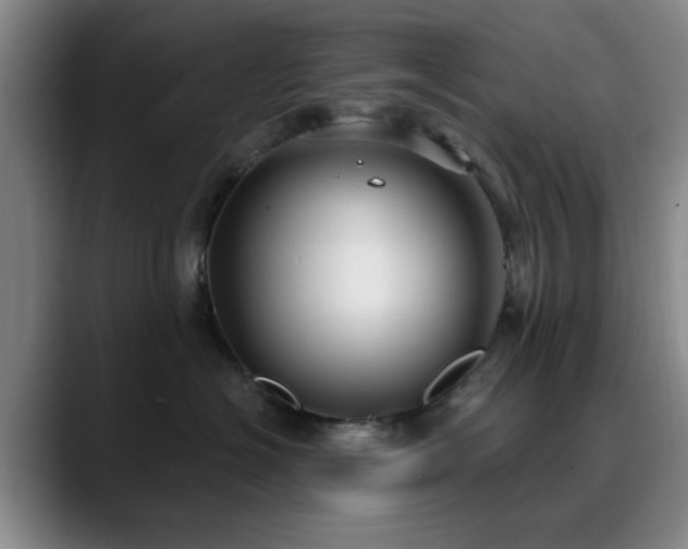 X0000090710574200707201217