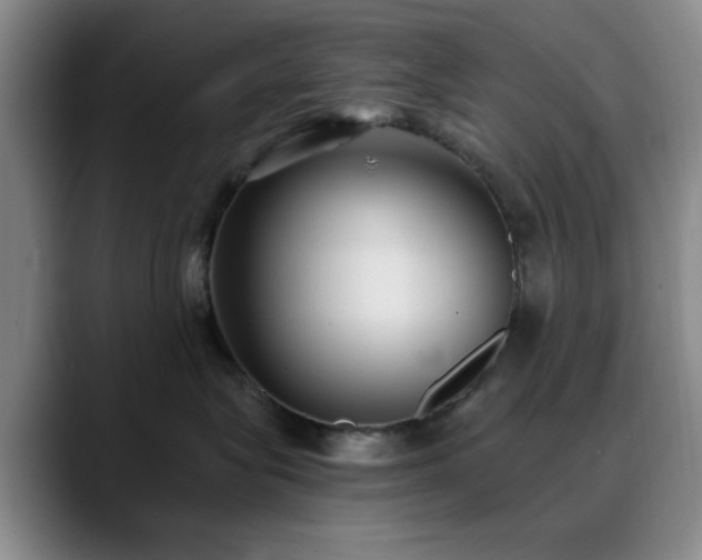 X0000090710575200707201217