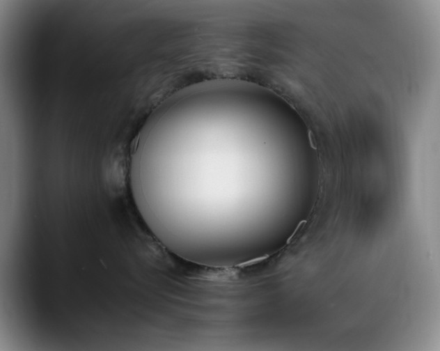 X0000090710576200707201217