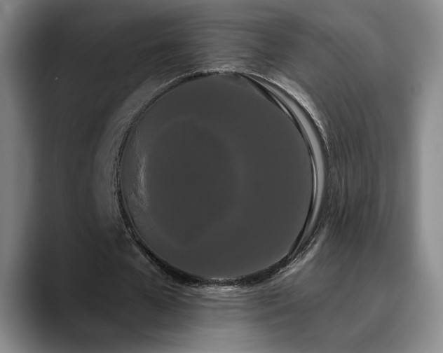 X0000090710577200707201217