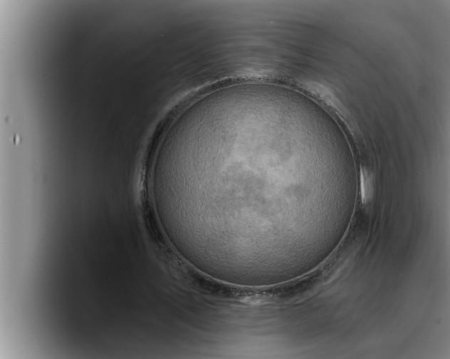 X0000090710579200707201217