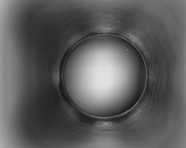 X0000090710582200707201217