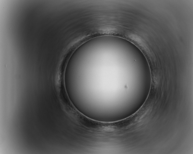 X0000090710583200707201217