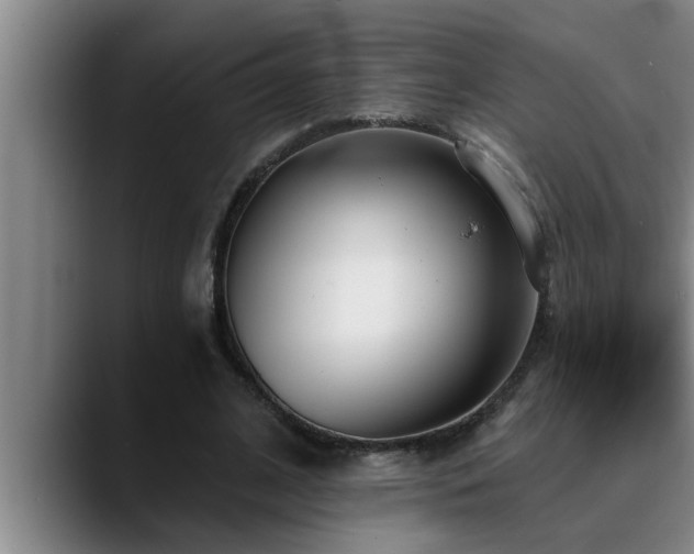 X0000090710584200707201217