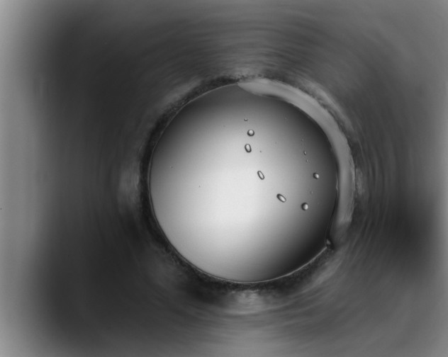 X0000090710588200707201217