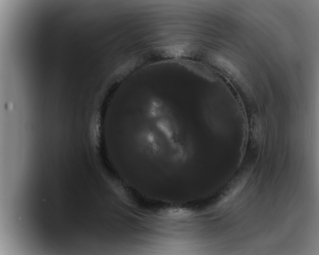 X0000090710590200707201217