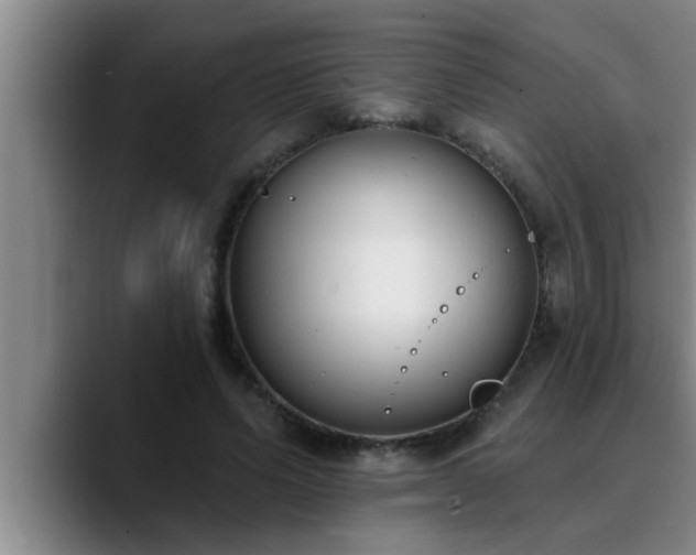 X0000090710591200707201217