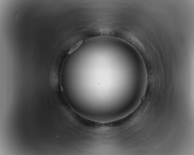 X0000090710593200707201217