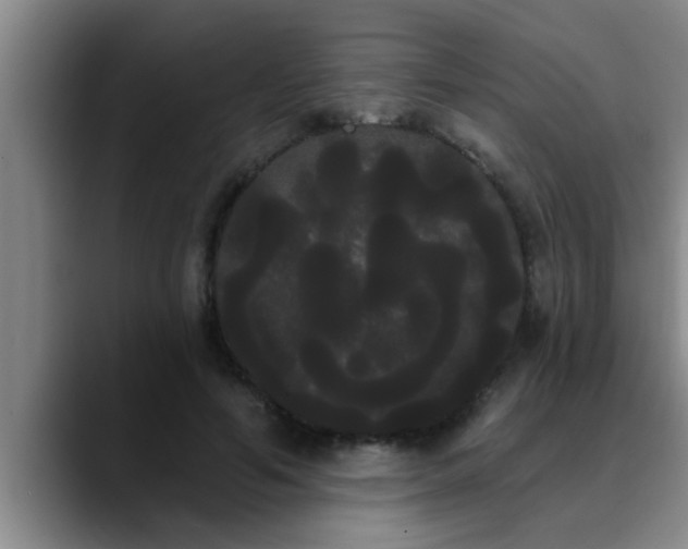 X0000090710594200707201217