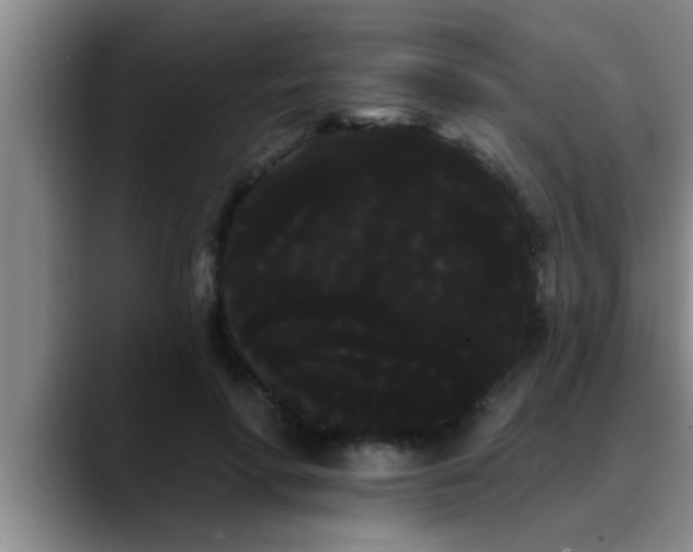 X0000090710598200707201217