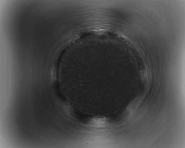 X0000090710606200707201217