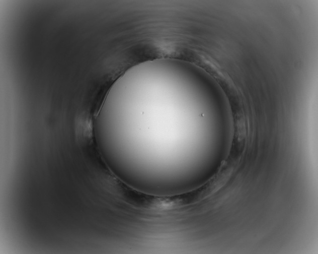 X0000090710613200707201216