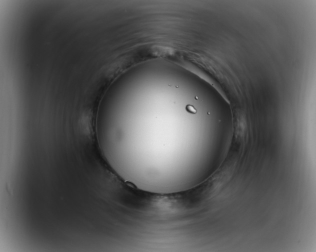 X0000090710616200707201216