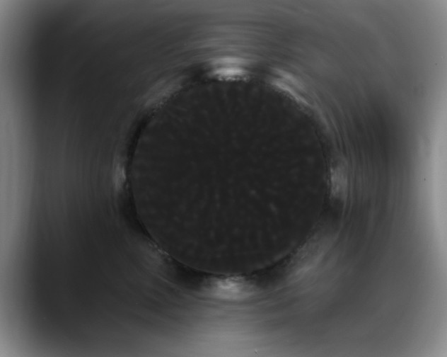 X0000090710618200707201216