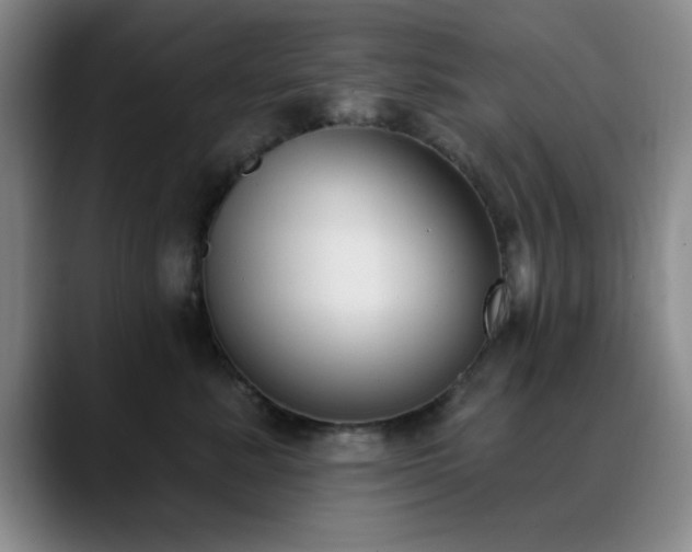 X0000090710619200707201216