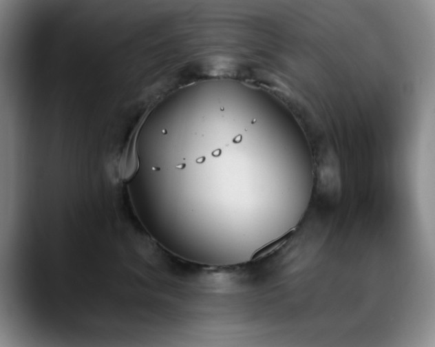 X0000090710620200707201216