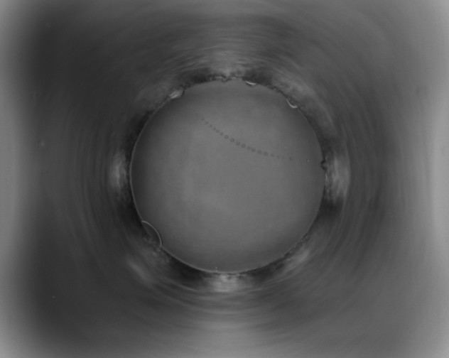 X0000090710623200707201216