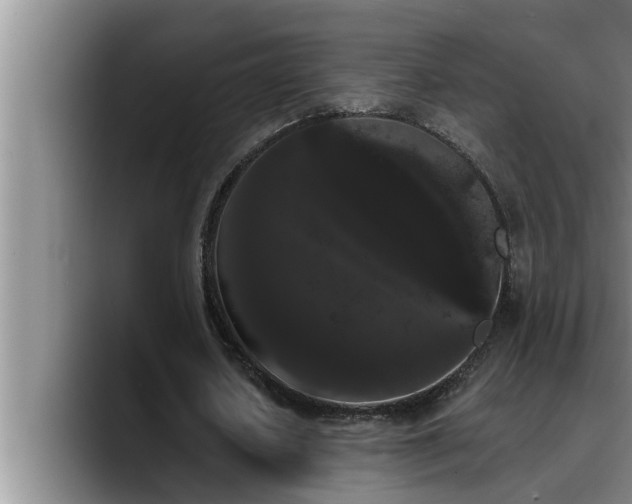 X0000090710626200707201216