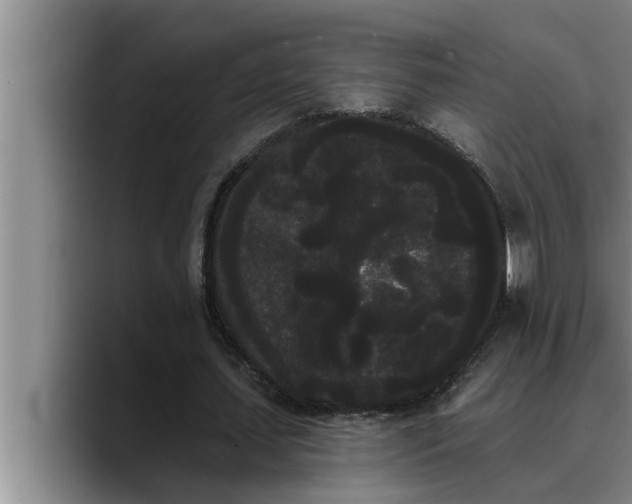 X0000090710627200707201216