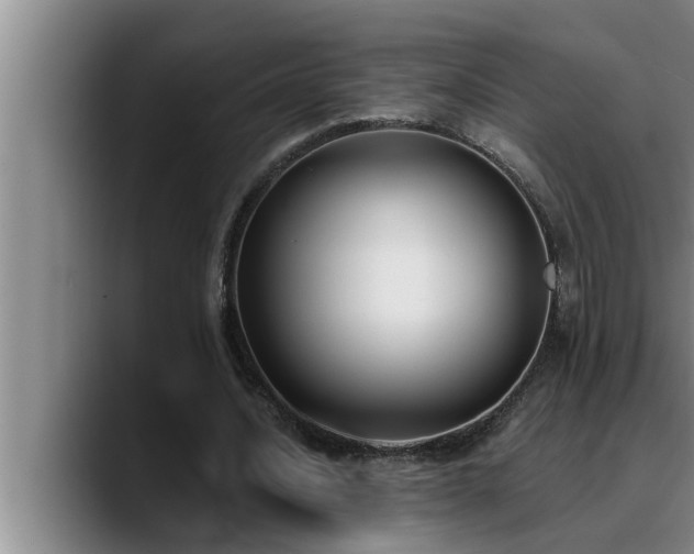 X0000090710628200707201216