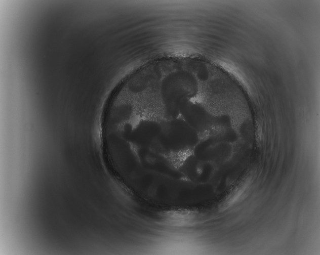 X0000090710630200707201216