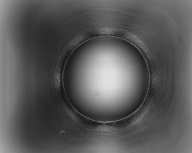 X0000090710633200707201216