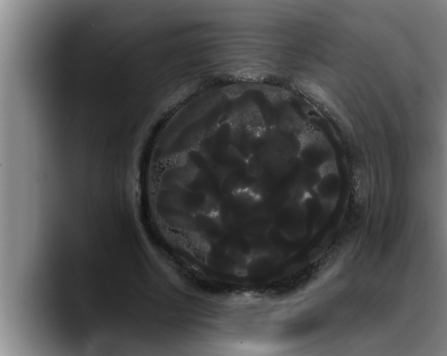 X0000090710634200707201216