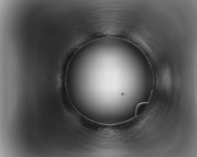 X0000090710635200707201216