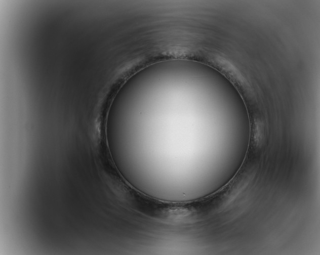 X0000090710636200707201216