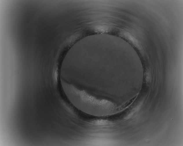 X0000090710637200707201216