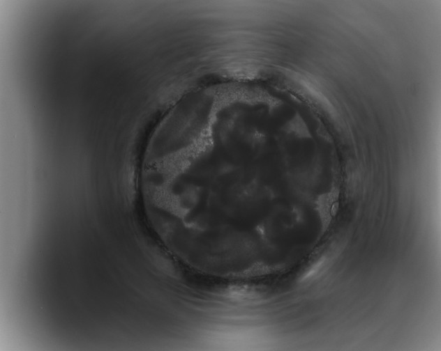 X0000090710641200707201216