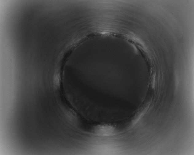 X0000090710644200707201216