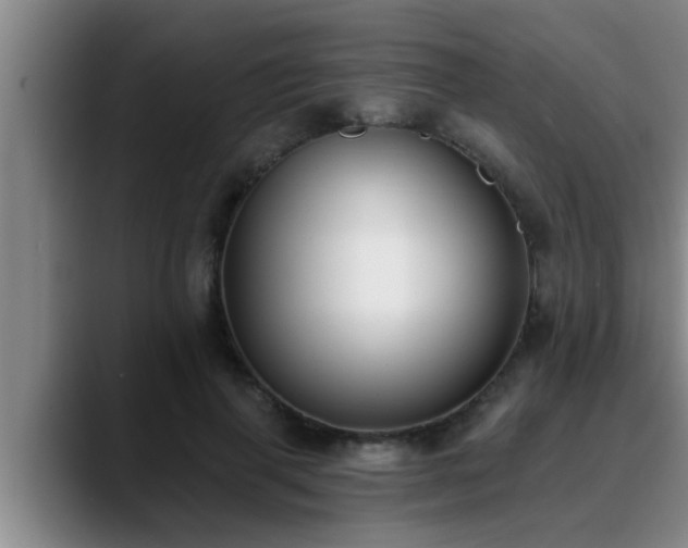 X0000090710645200707201216