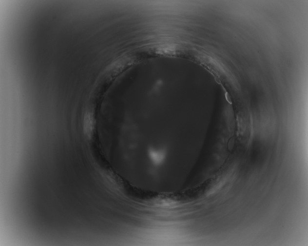 X0000090710648200707201216