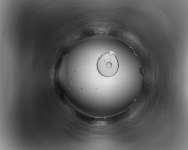 X0000090710649200707201216