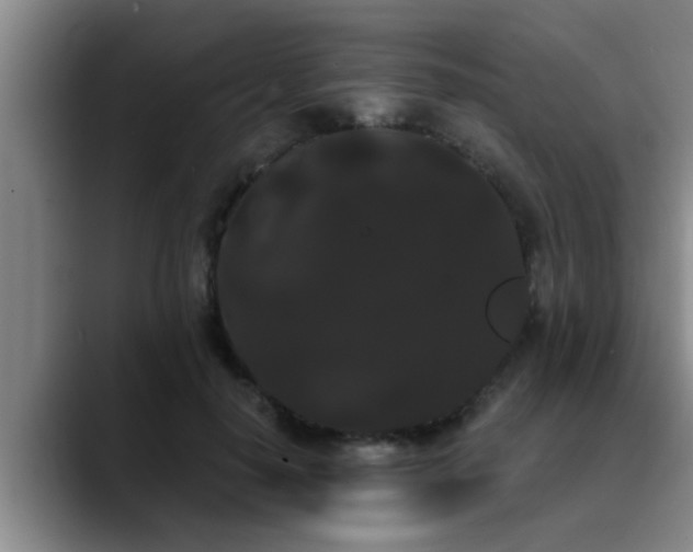 X0000090710650200707201216