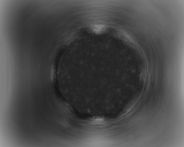 X0000090710651200707201216