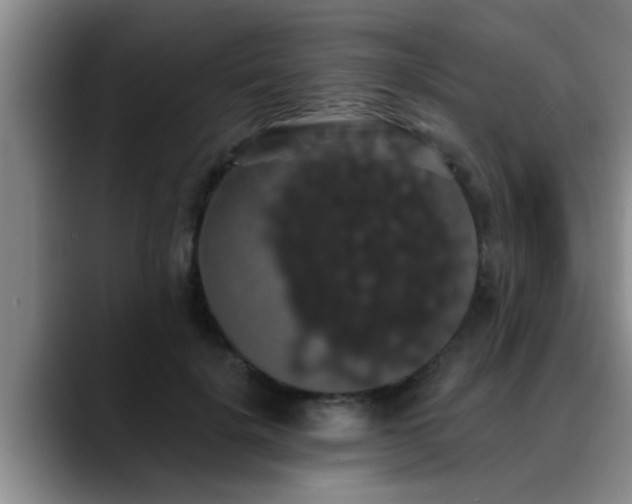 X0000090710652200707201216