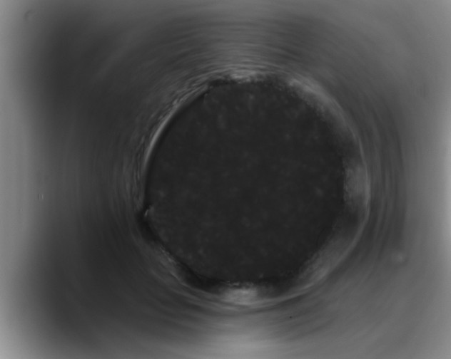 X0000090710653200707201216