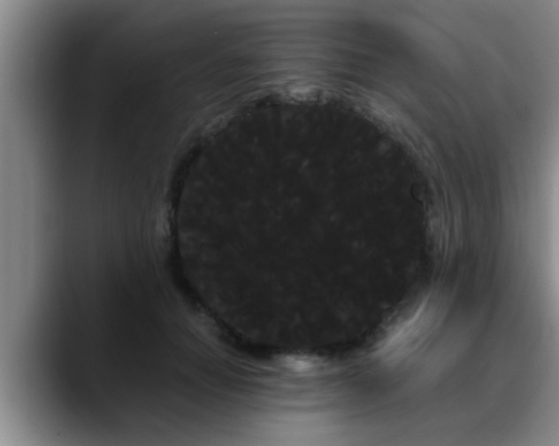 X0000090710654200707201216