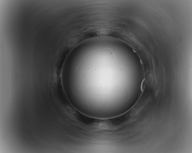 X0000090710655200707201216