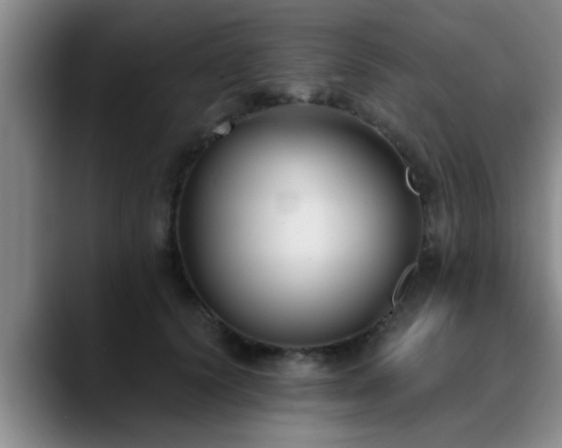 X0000090710656200707201216