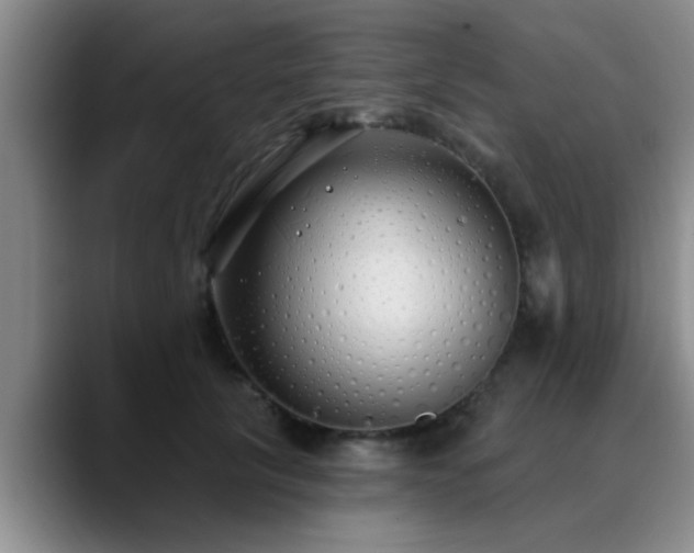 X0000090710657200707201216