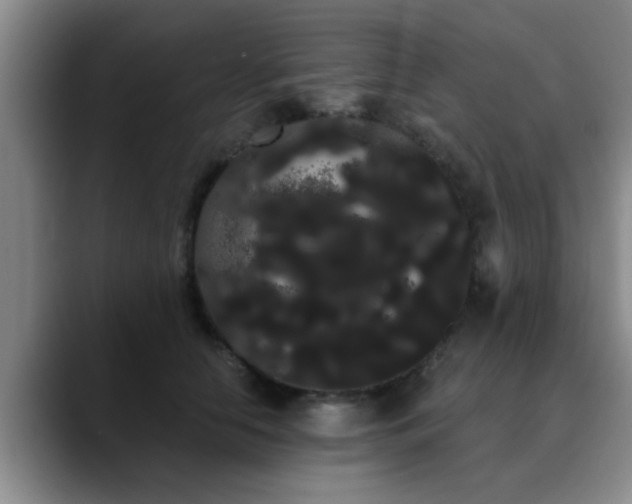 X0000090710658200707201216