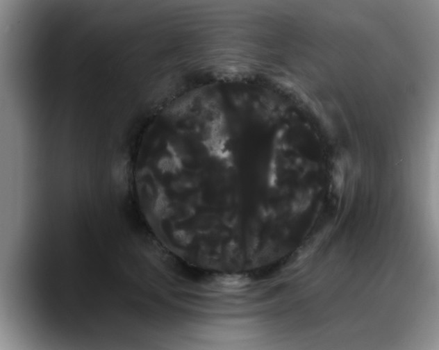 X0000090710659200707201216