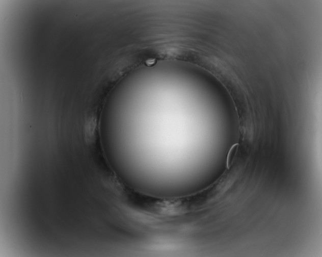 X0000090710660200707201216