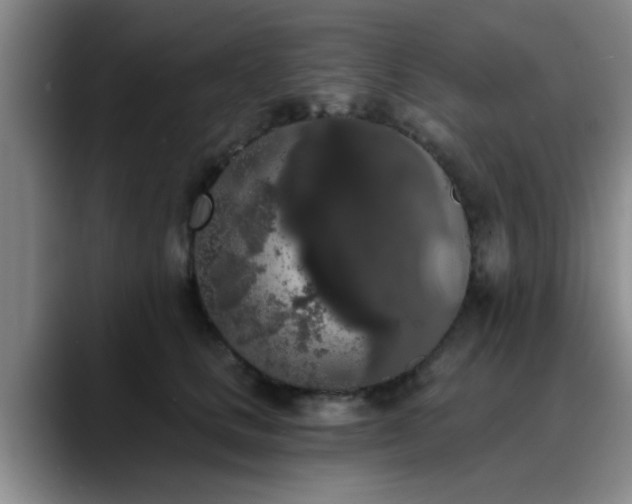 X0000090710661200707201216